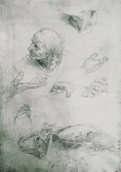 Studien zur Figur von Bramante (1444-1515)